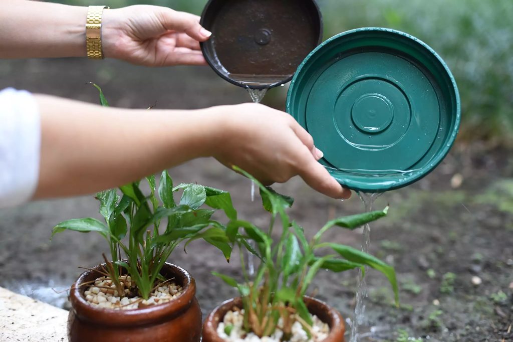 Mutirão Contra a Dengue em Biritiba Mirim
