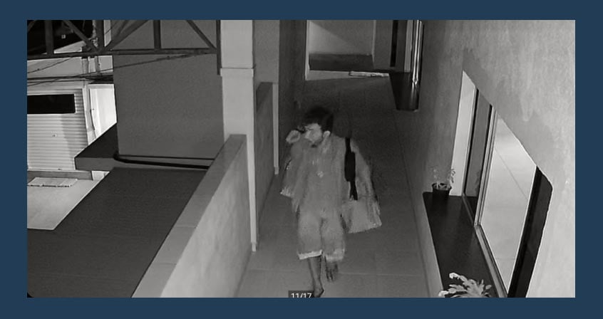 Vídeo Mostra Furto no Distrito dos Remédios em Salesópolis. Foto: Reprodução