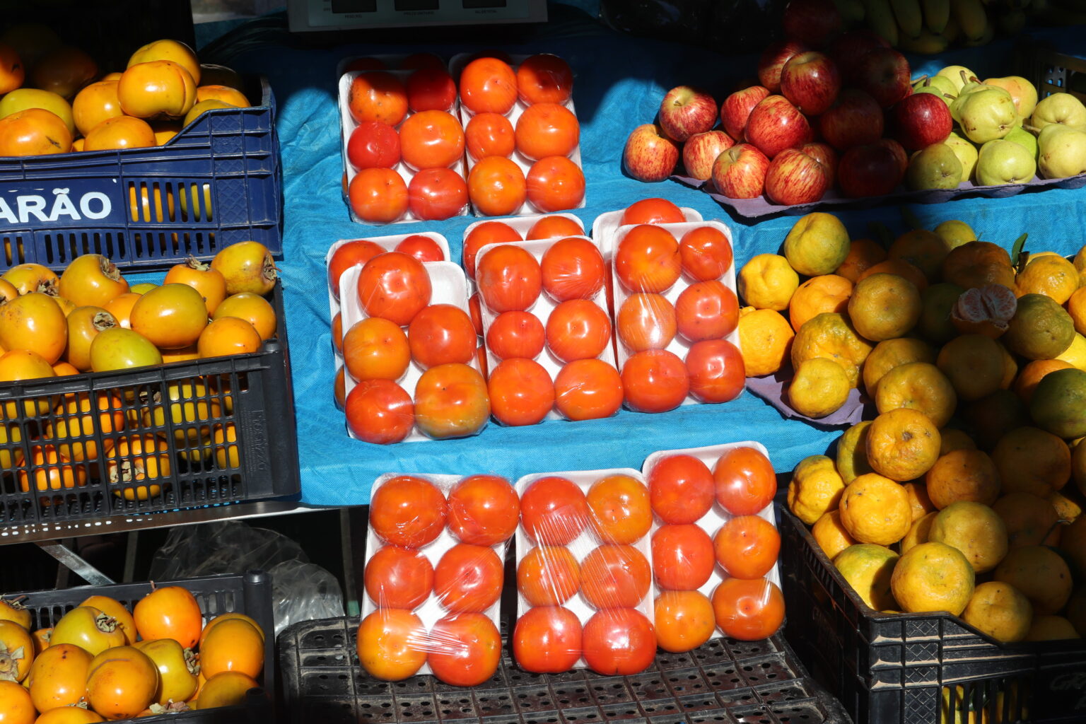 Festa do Caqui 2025 em Biritiba Mirim. Foto: PMBM