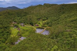 Biritiba Mirim promove 1º Agro Summit e reúne especialistas para fortalecer o agronegócio local. Foto: PMBM