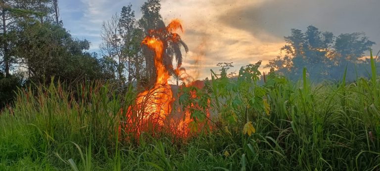 Fogo em área próxima ao Instituto Reviver assusta moradores em Biritiba Mirim: Foto: Dimas Duarte