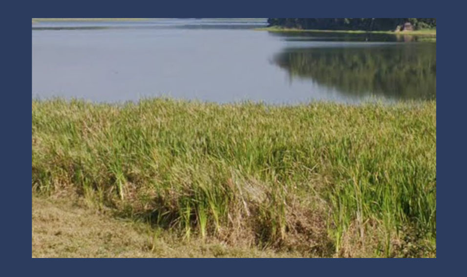 Menina desaparece após ser arrastada pela correnteza no Rio Tietê em Biritiba Mirim. Foto: Reprodução
